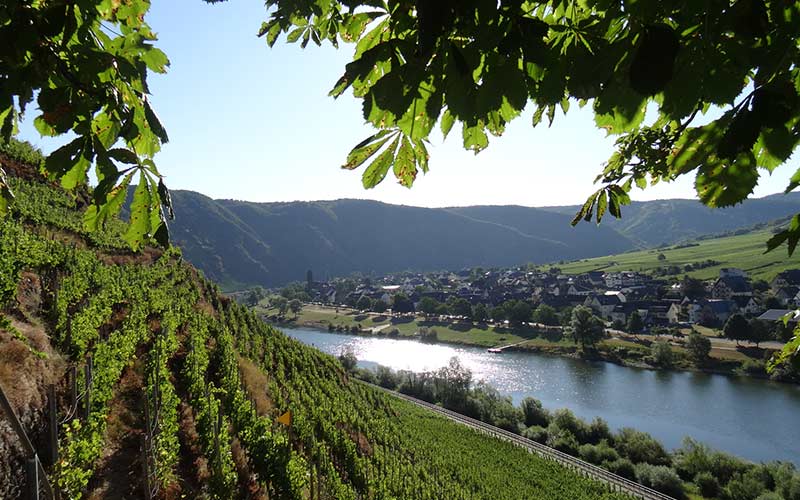 Gästezimmer Mosel Ernst