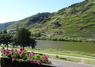 Aussicht vom Balkon